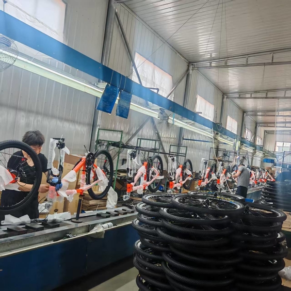 QINGDAO BESTRIDING SPORTS CO.,LTD 제조업체의 생산 라인