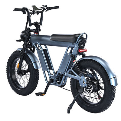 Disc Brake 160mm Compact and Foldable Battery-Powered Cycle for Custom Long-Distance Travel