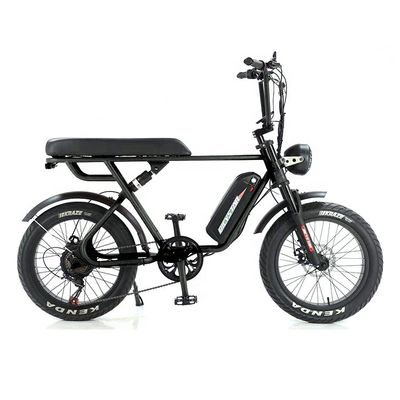 35kg 알루미늄 합금 프레임 전기 지방 타이어 E 자전거 장거리 48v 750W/1000W 모터