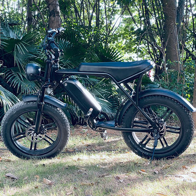 강력한 750W V8 모터 20 인치 패트 타이어 전기 산악 자전거 48V 15ah 배터리