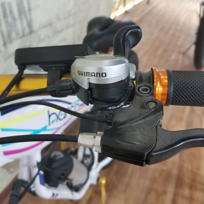 48V 500W 전력 전기 자전거 운동 균형 및 레트로 빈티지 에바이크 모험