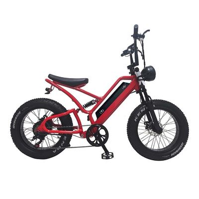 전자 자전거 지방 타이어 48V10Ah 리?? 배터리 속도 500W 스노우 모빌용 브러시리스 스포크 모터
