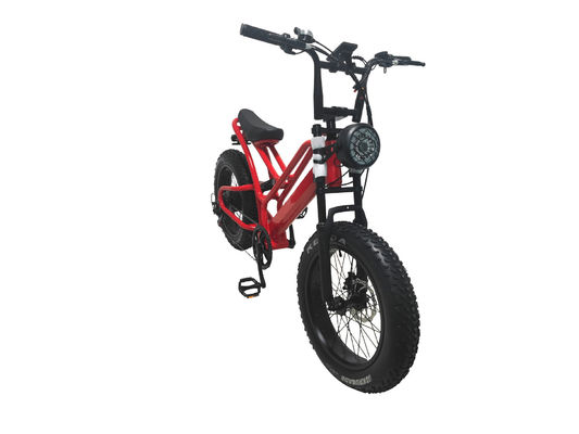 전자 자전거 지방 타이어 48V10Ah 리?? 배터리 속도 500W 스노우 모빌용 브러시리스 스포크 모터