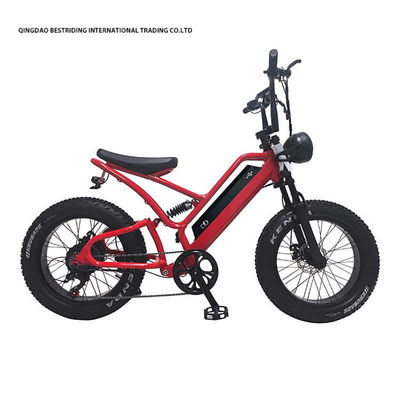 48V10Ah 리?? 배터리 성인용 5000w 전기 자전거 20 인치 지방 타이어 에바이크