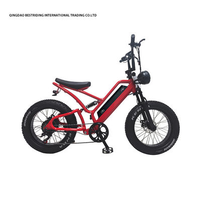 48V10Ah 리?? 배터리 성인용 5000w 전기 자전거 20 인치 지방 타이어 에바이크