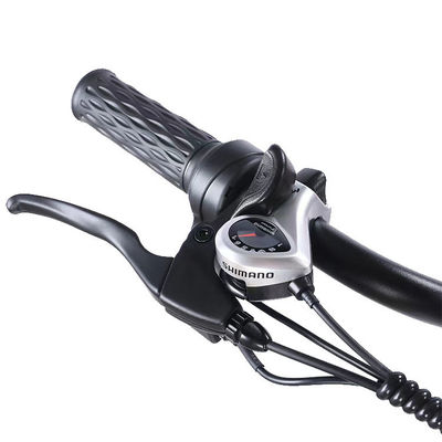 앞 24 후 20 스노우 타이어 전기 트라이사이클 SHIMANO 후 7 스피드 및 48V15A 배터리