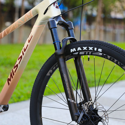 29 인치 MTB 산악 자전거 탄소 섬유 하드 프레임 산악 자전거 속도 자전거