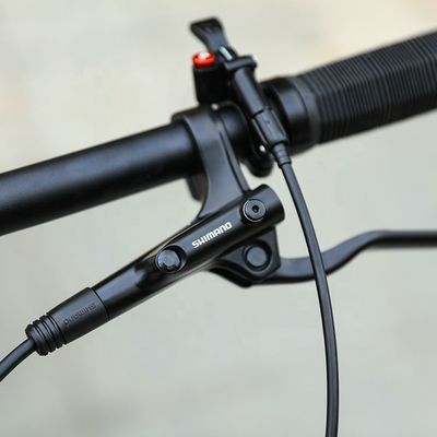 MTB 29 인치 알루미늄 합금 산악 자전거 12 스피드 디스크 브레이크 내리막 자전거