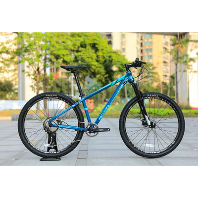 29er 스피드 마운틴 바이크 사용자 지정 탄소 섬유 프레임과 프로휠 TEN-M601 크랜킷