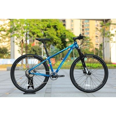 높은 구성 30 속도 29 인치 탄소 섬유 산악 자전거와 SMN M6000-30 속도
