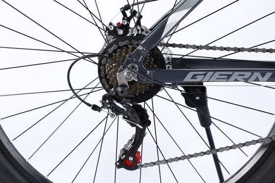 산악 자전거 Mtb 자전거 스틸 프레임과 Sus Fokr Al Crown 성인용 잠금 포크