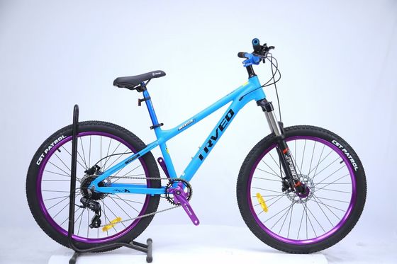 Maximum Speed 25 Km per Hour Electric Foldable Bike 30 Degree Gradeability 52V Voltage Lightweight Urban Transportation